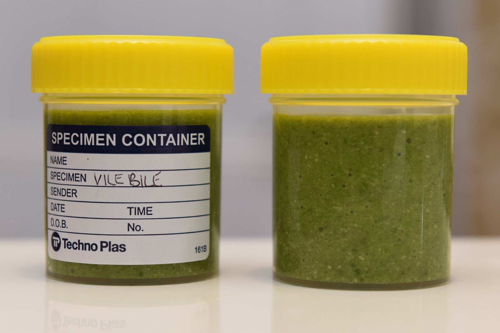 Small Animal Talk Pathologythemed mocktails from The Vet Cook Book