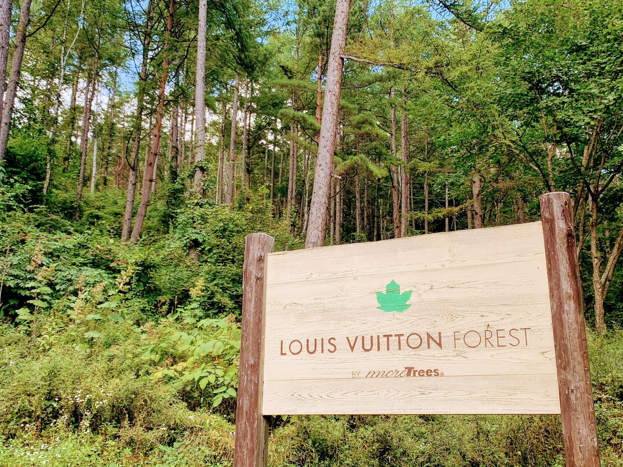 Louis vuitton forest