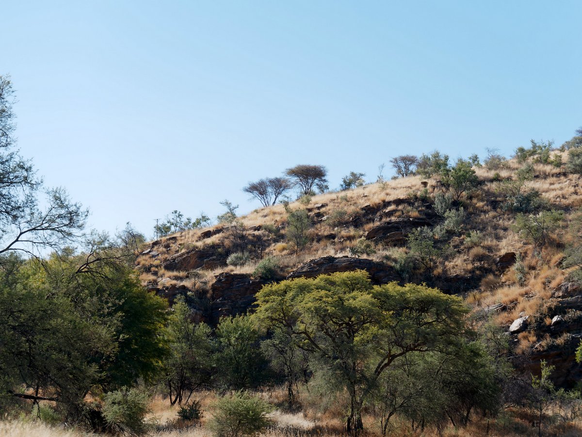 Вшестером по Намибии на джипах в пандемию Вшестером по Намибии на джипах в пандемию