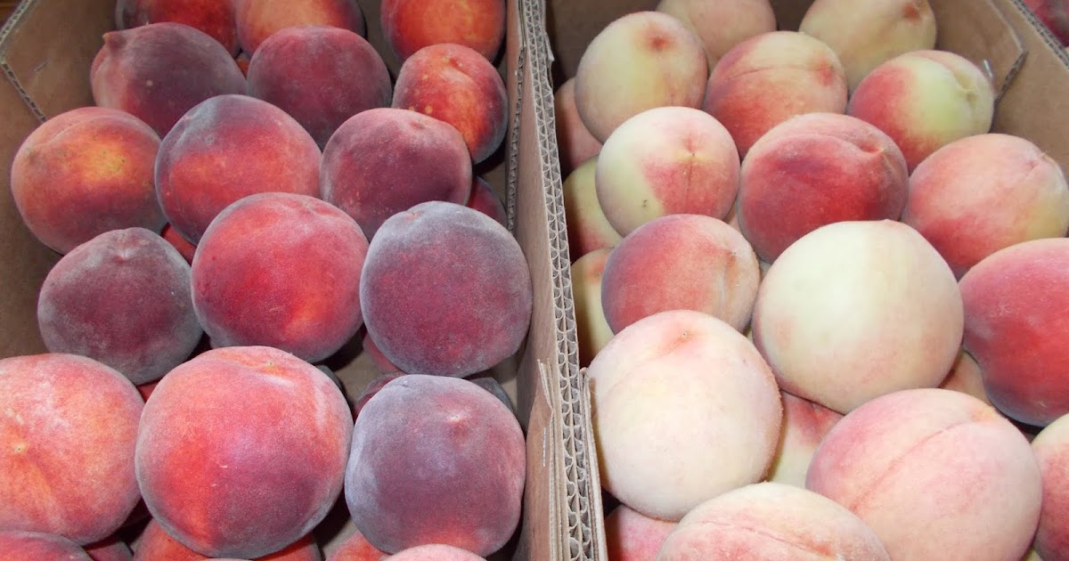 Brenda's Berries & Orchards Many Yellow Peaches & White Peaches for Sale