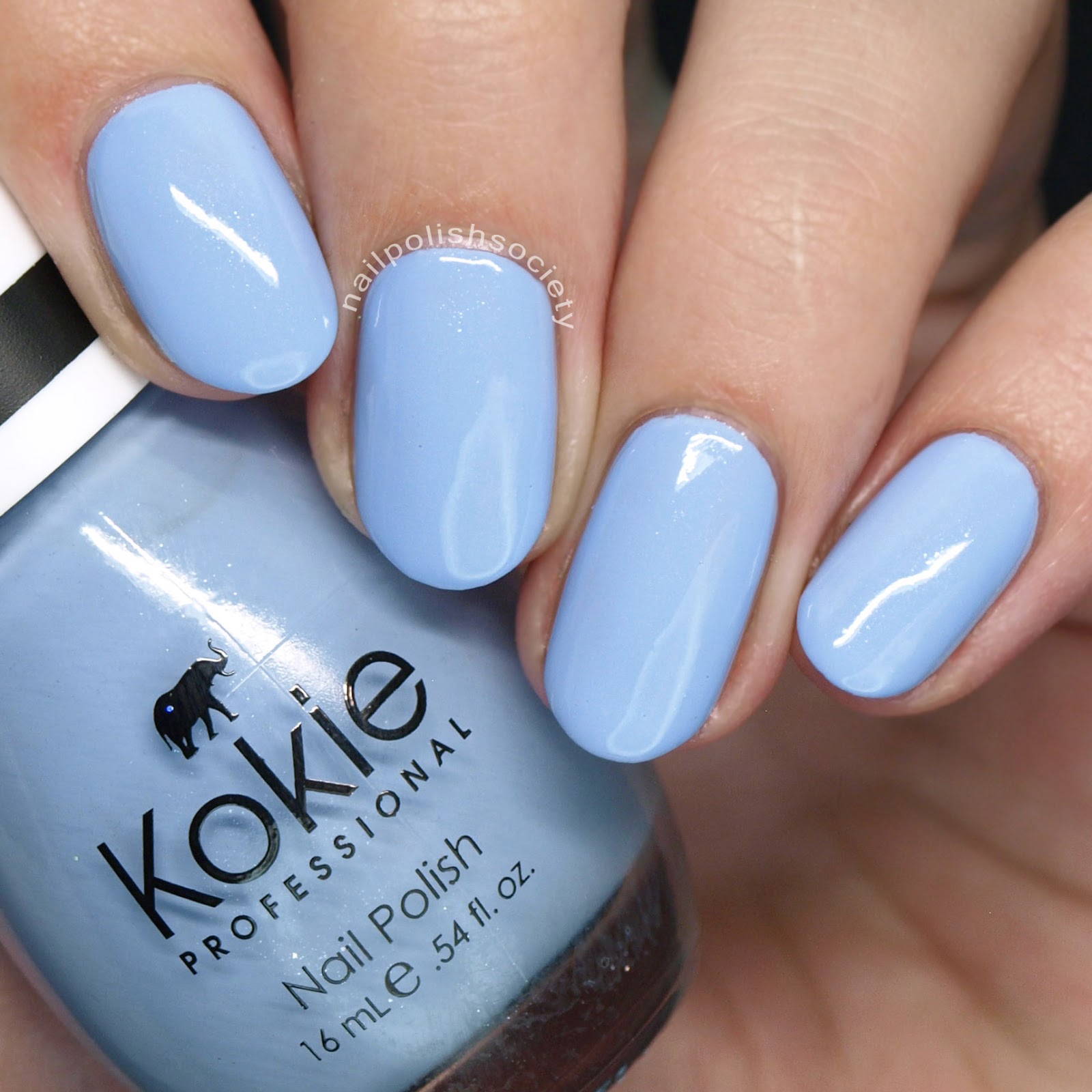 Nail Polish Society Kokie Cosmetics Nail Polish Swatches