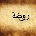 معنى اسم روضة وصفاته Rawda - تعرف على معنى اسم روضة وحكم تسميته معنى اسم روضة وصفاته Rawda - تعرف على معنى اسم روضة وحكم تسميته