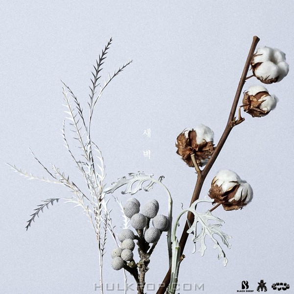 Ha Jin – Dawn – Single