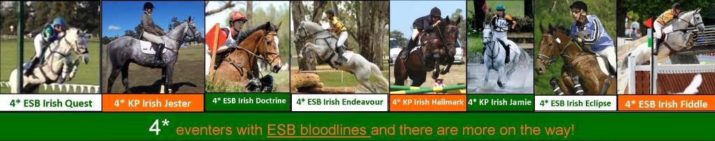 ESB has helped to produce eight 4* horses