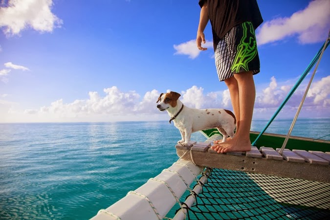 Photo of a Jack Russell Terrier on sail boat Turks & Caicos Islands. Photos by eyeSpice. Notes from the Pack.
