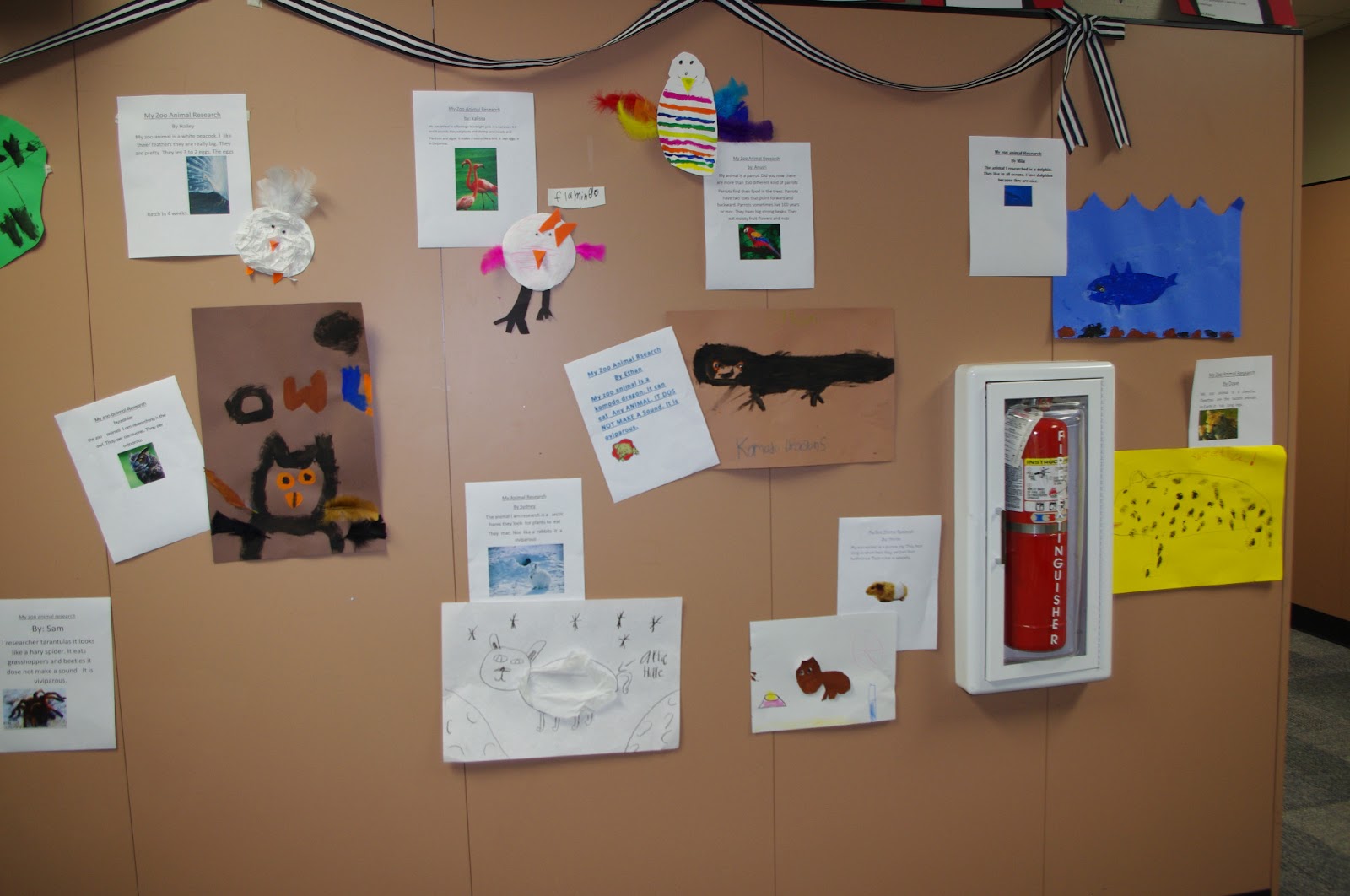 Loving K4! : Zoo Animal Research