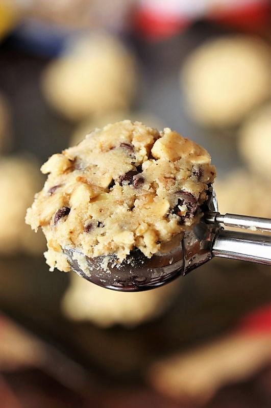 Signature DoubleTree Chocolate Chip Cookies The Kitchen is My Playground