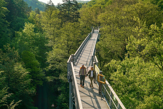 Sonnenaufgang am Baumwipfelpfad-Harz | Wandern in Bad Harzburg Sonnenaufgangswanderung Bad –Harzburg 06