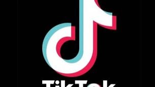 Tiktokwant Com How To Get Free Fans And Followers Tiktok On