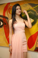 richa-panai-latest-pics-30.jpg
