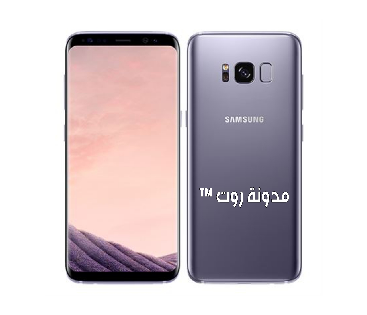 Samsung 8 плюсы. Samsung Galaxy s8. Samsung Galaxy s8 950fd. Samsung s8 цвета. Самсунг с8 цвета.