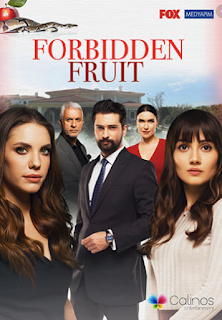 Fruto Prohibido Novela Online