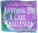 PAST DESIGN TEAM MEMBER