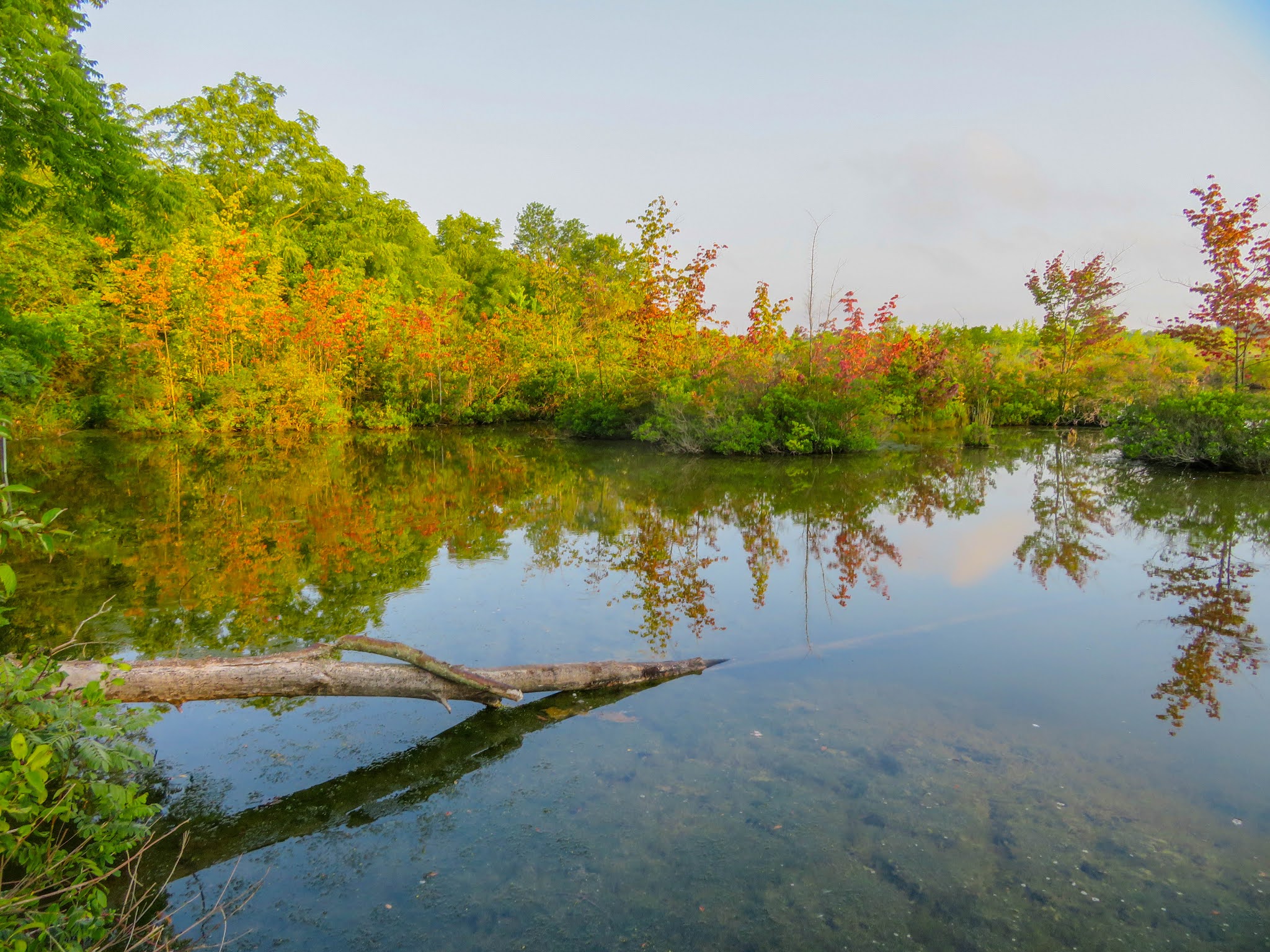 Cannundrums Montezuma NWR New York