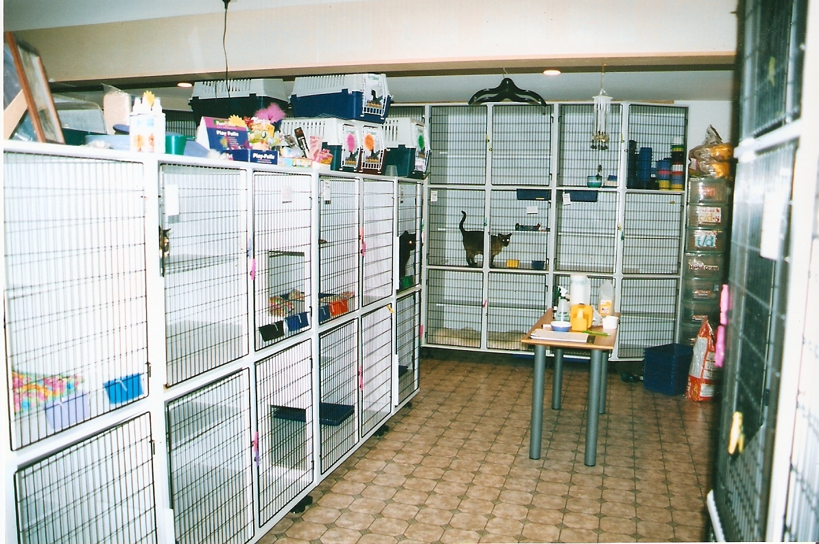 Apa itu Cattery??? Kucing gue