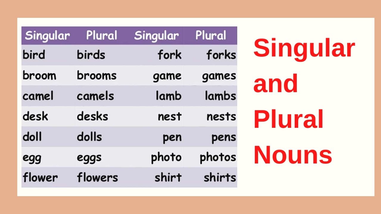 Singular and Plural Nouns English Grammar Questions, english quizzes