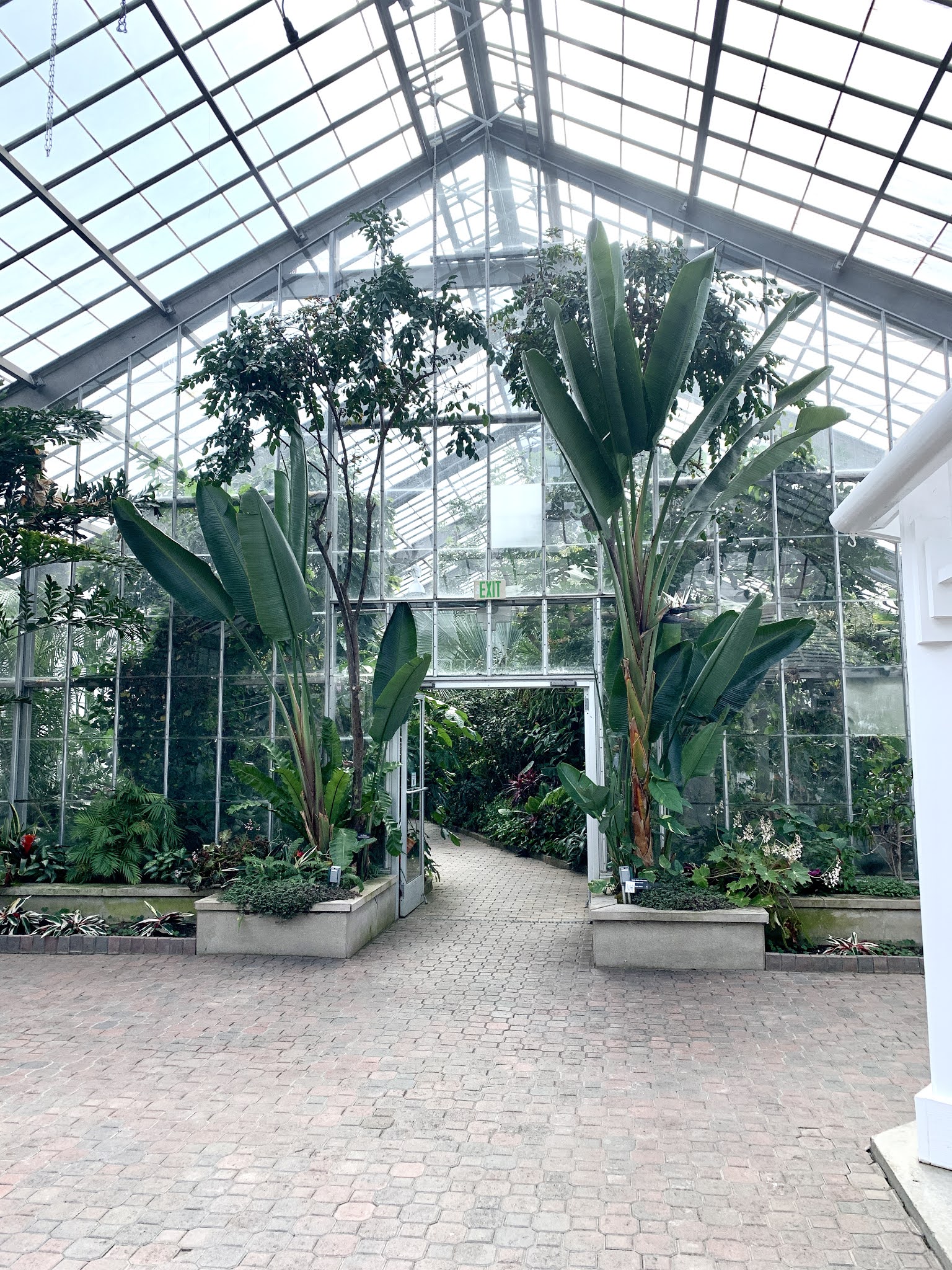 Amy's Creative Pursuits Garfield Park Conservatory Indianapolis