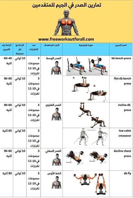 تمارين الصدر في الجيم للمتقدمين