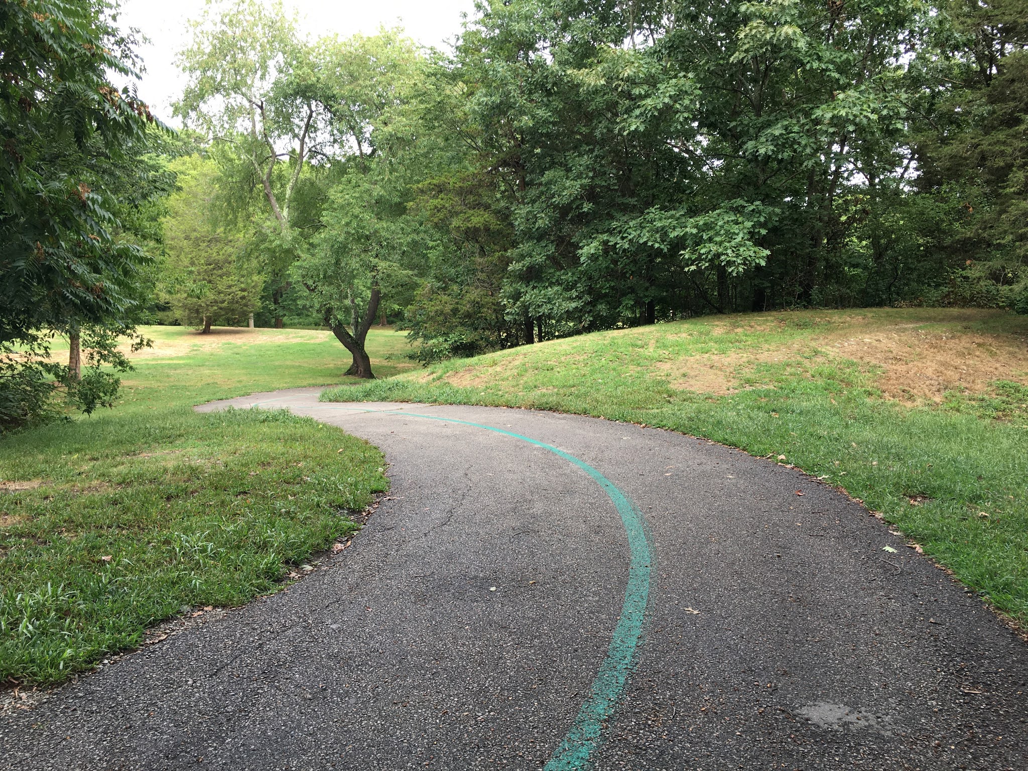 Everyone Outdoors Take a Tree Walk at Beaver Brook Reservation
