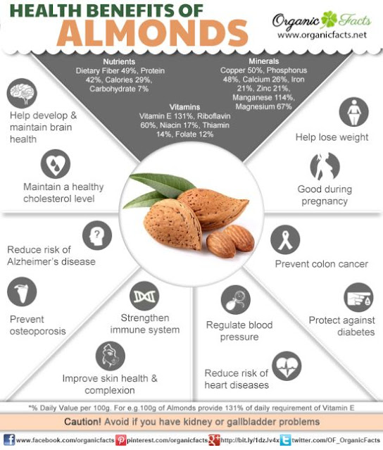 Is Almond Meal and Almond Flour Same