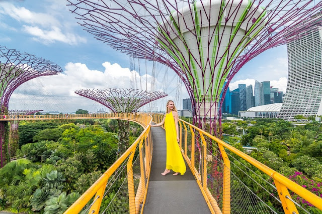 Walk Among the Supertrees at Gardens by the Bay 