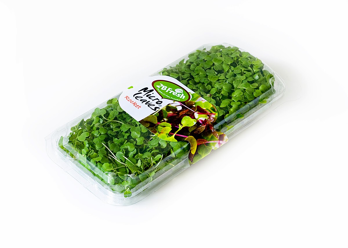 Flora Export S.G. Israel LTD reliable exporter of premium fresh herbs