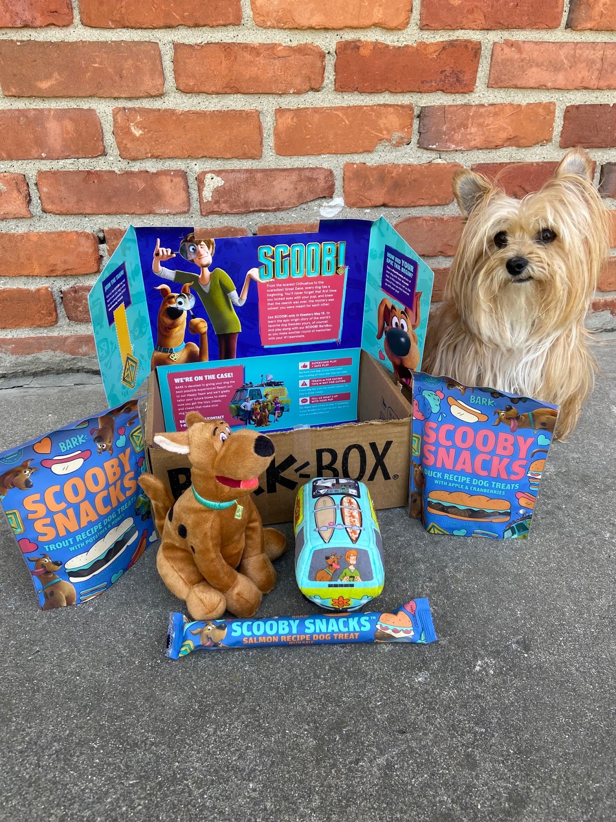 New SCOOB! Movie Barkbox Edition Fashion meets Food