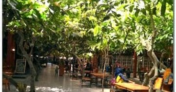 Menarik Inilah 5 Aktivitas Seru Di Kampung Coklat Blitar Wisatamantul Com