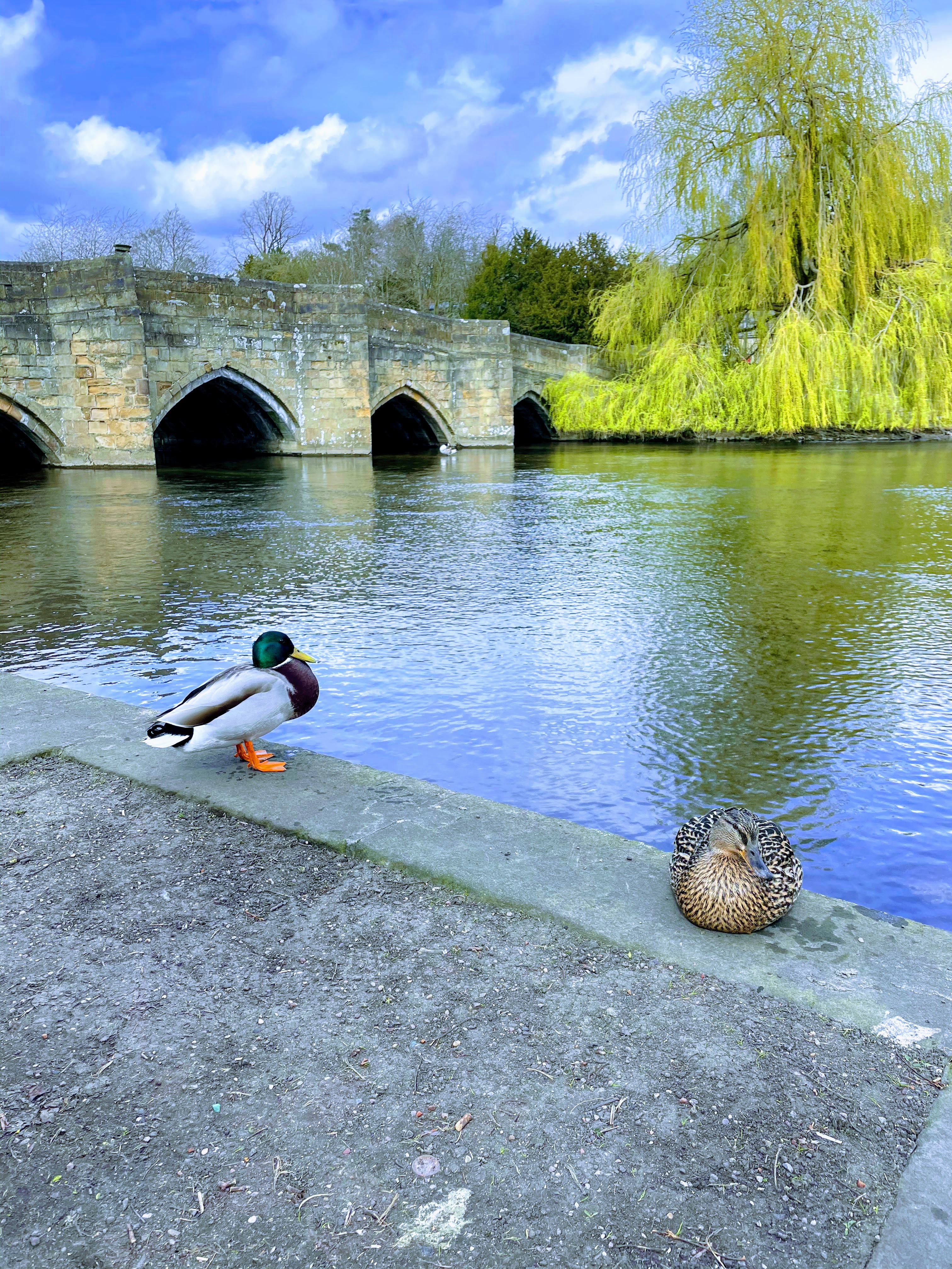 A Day Out In Derbyshire Has To Include Bakewell: