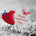 100+ Best and Special Whatsapp Status for Valentine Day with Images