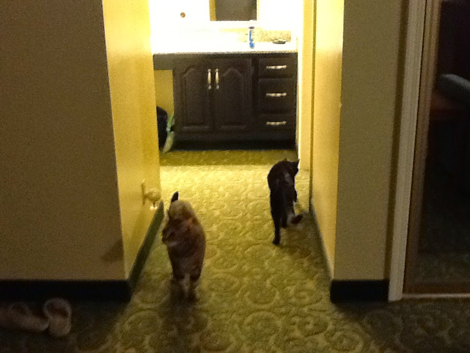 Things we did today... October 2014