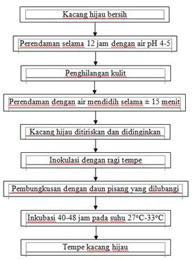 Proses Pembuatan Tempe Dari Kacang Hijau All About Knowledge