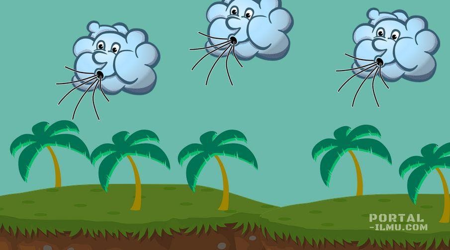 Pengertian dan 6 Jenis Angin | Portal-Ilmu.com