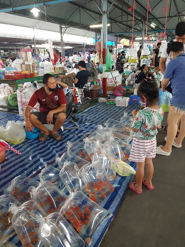 OBJEK WISATA BANGKOK, Chatuchak Fish Market