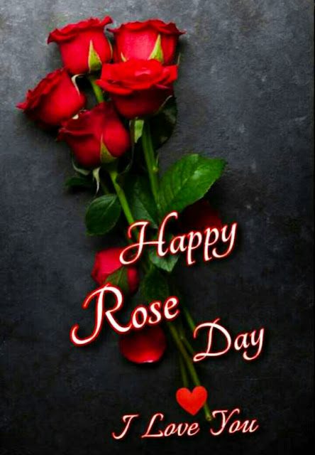 Rose Day Images For Whatsapp