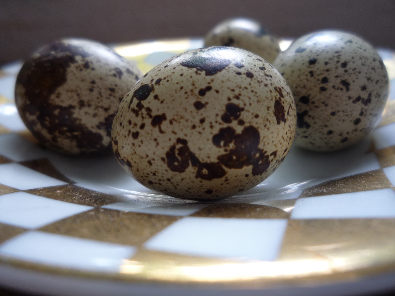 Hatching and Raising Quail Organically for hay fever and eczema Part