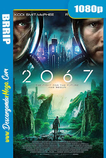  2067 (2020) 