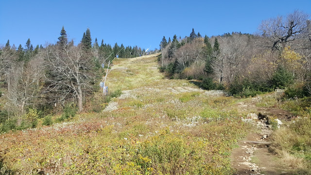 Point de vue à partir du sentier pour le mont Tremblant