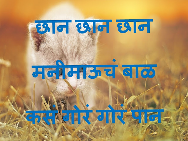 छान छान छान मनीमाऊचं बाळ (मराठी बालगीत) | Kitten Song - Marathi Baalgeet