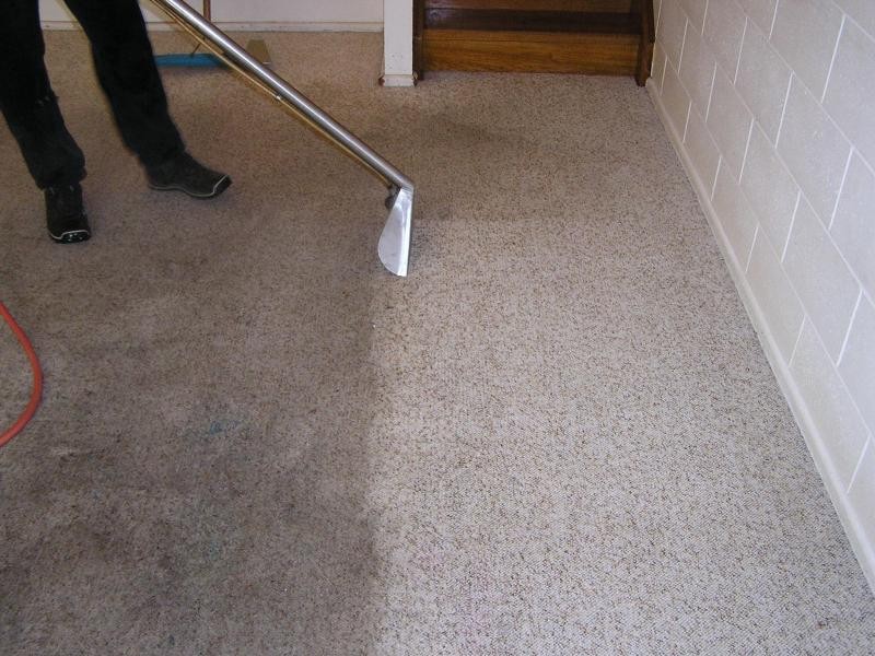 Find the Carpet cleaning services Gilbert AZ