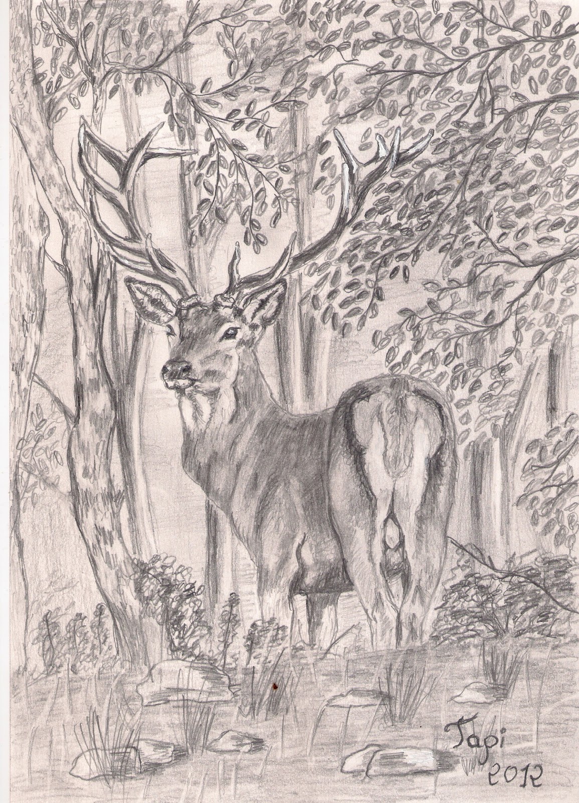 Blog de Dibujo El Tapi.: Dibujos a lapiz 4