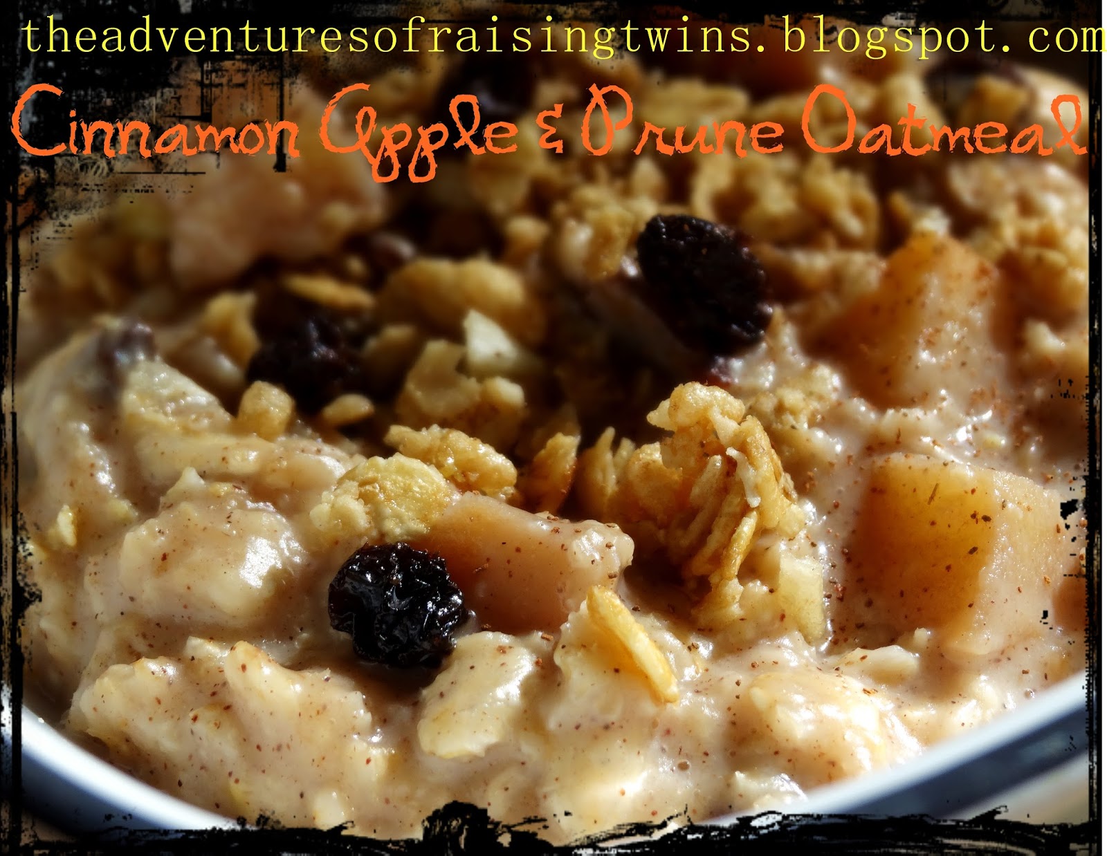The Adventures of Raising Twins Cinnamon Apple & Prune Oatmeal