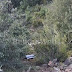 Van ended up 20 meters into the abyss in Bulqiza, 4 injured, two of them in grave conditions