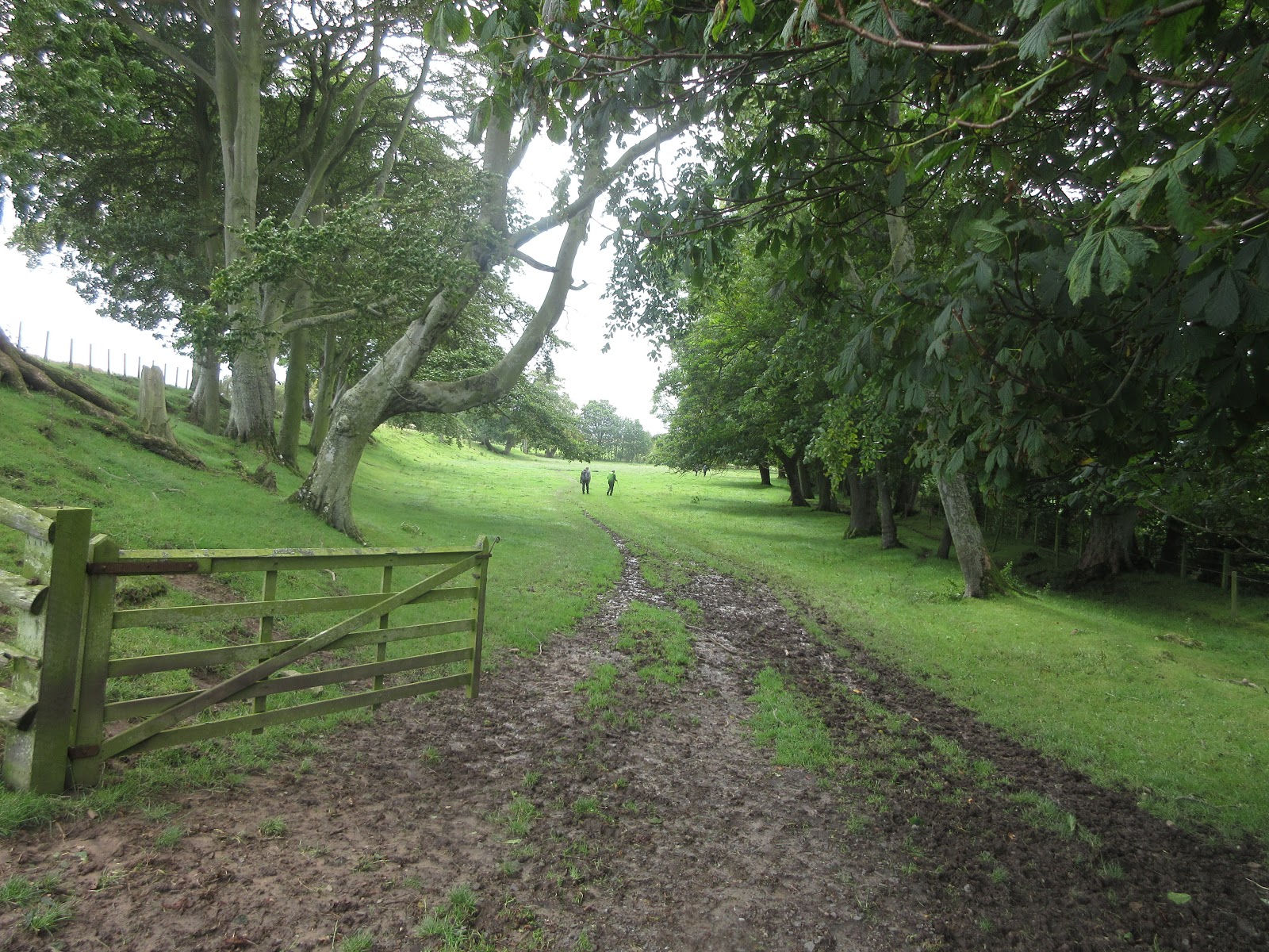 Gadgie Walks NEWTON BY THE SEA