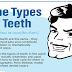 The Types of Teeth #infographic