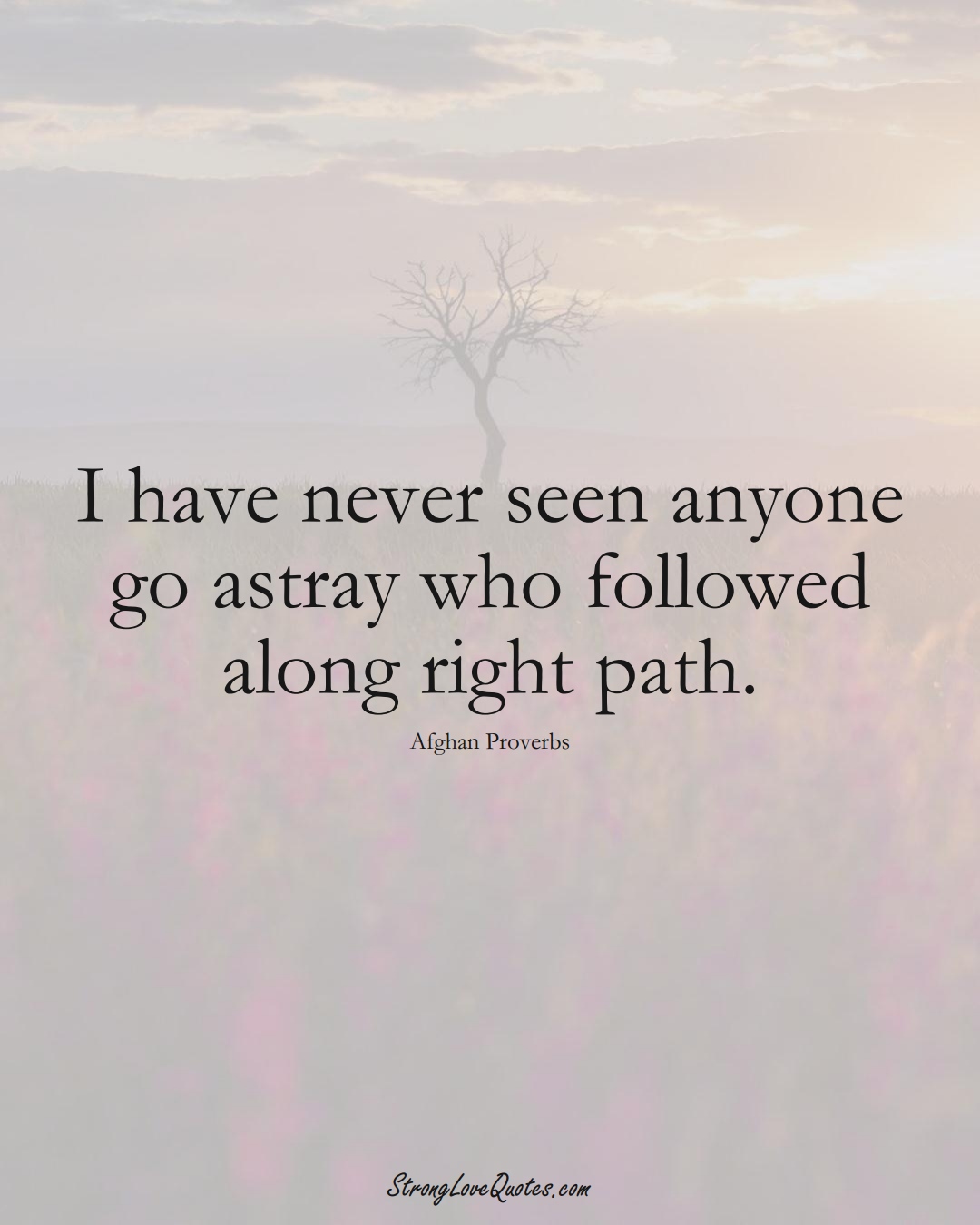 I have never seen anyone go astray who followed along right path. (Afghan Sayings);  #AsianSayings