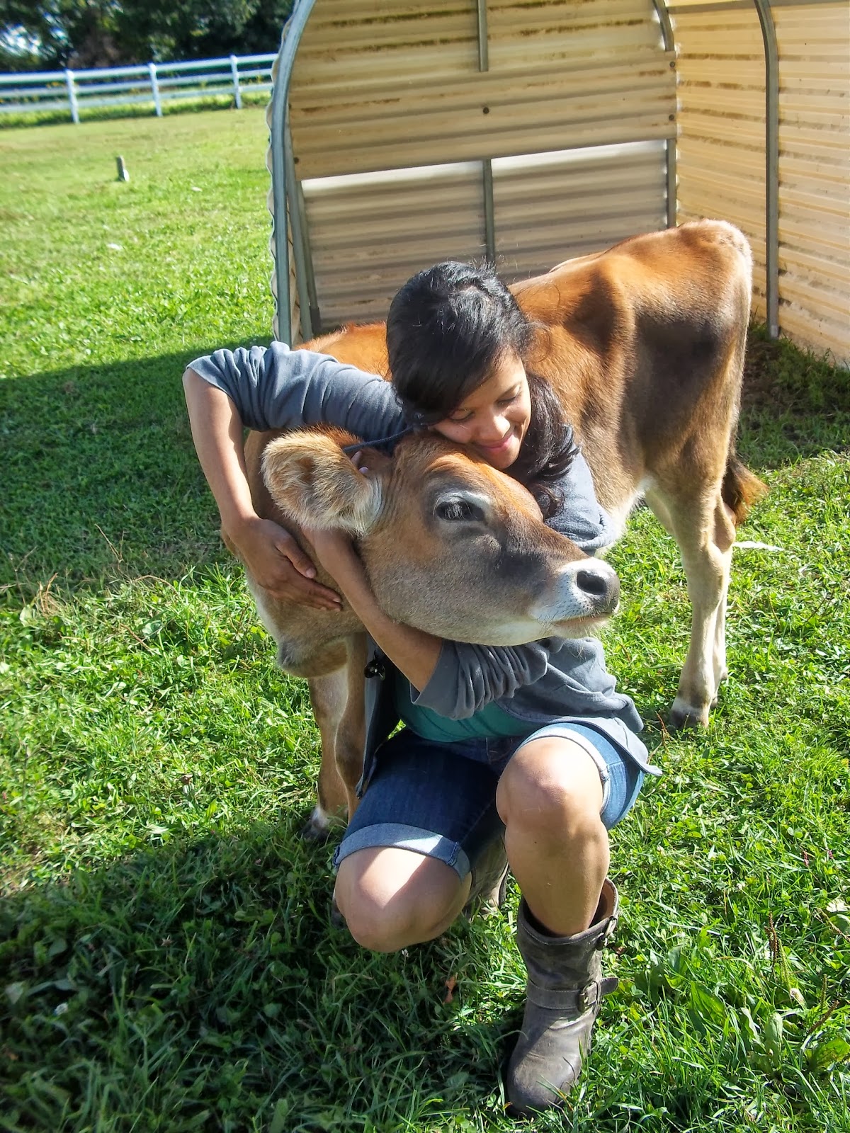 When animals fall in love with humans - Animal Info