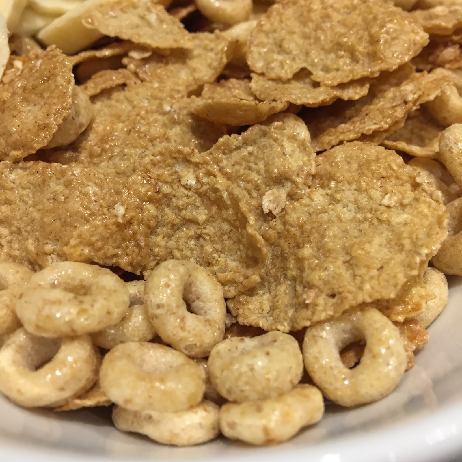 Archived Reviews From Amy Seeks New Treats NEW! Cinnamon Oat Crisp