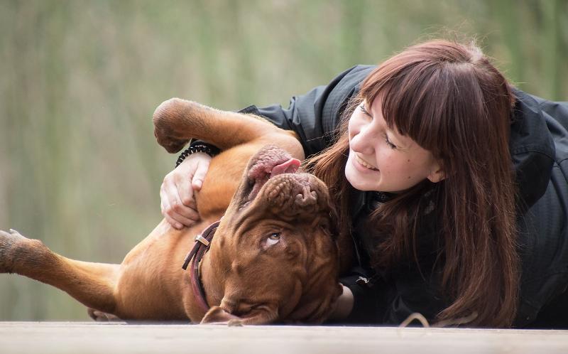 Dogs Can Enhance Mental Wellness