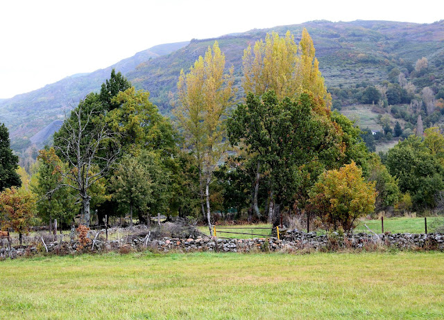 Valles de Laciana, comarca de Laciana en León